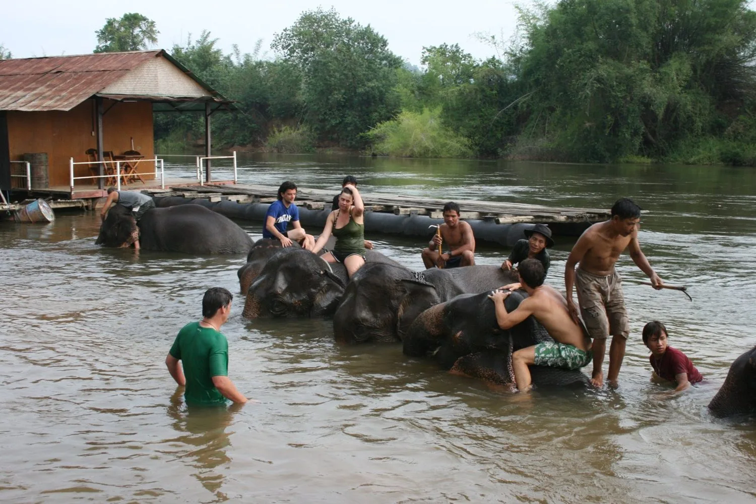 Chang Kalim Elephant Camp